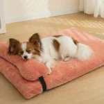 All Season Use Flat Sponge Dog Bed with Pillow Cat Accessories