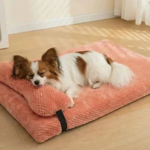 All Season Use Flat Sponge Dog Bed with Pillow Cat Accessories