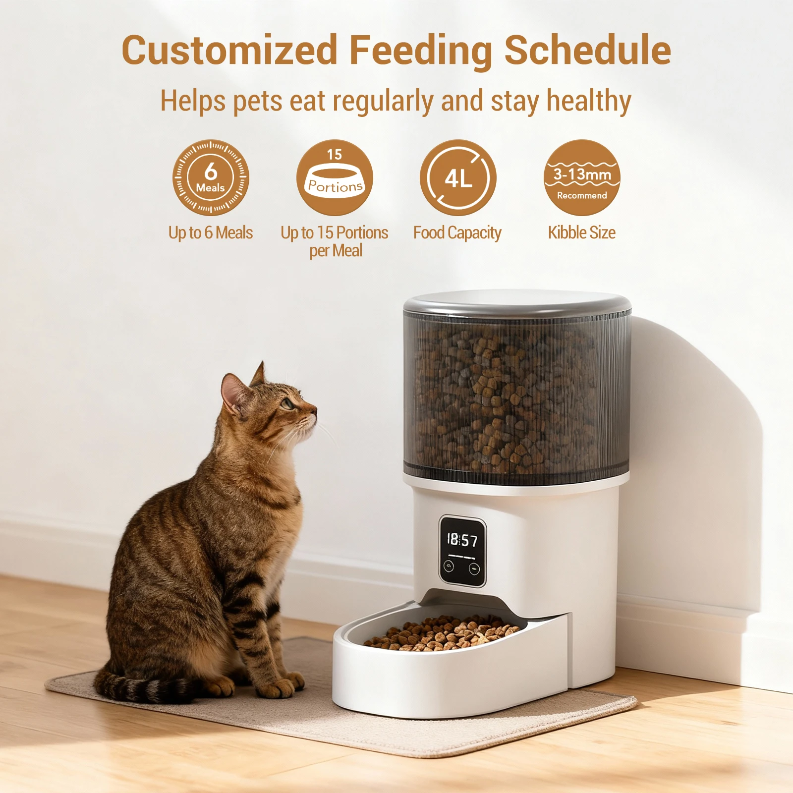 Programmable 4L Automatic Pet Feeder for Small Dogs Cats - Image 2